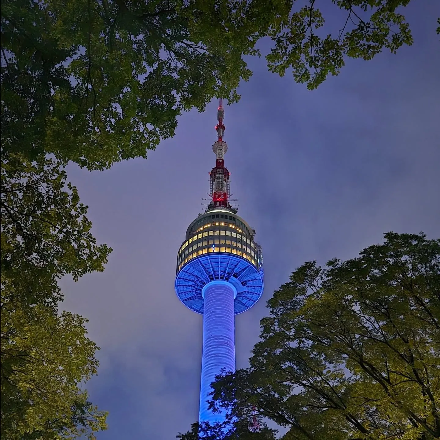 BLACKPINK Fan Tour Seoul Trip TOP 7