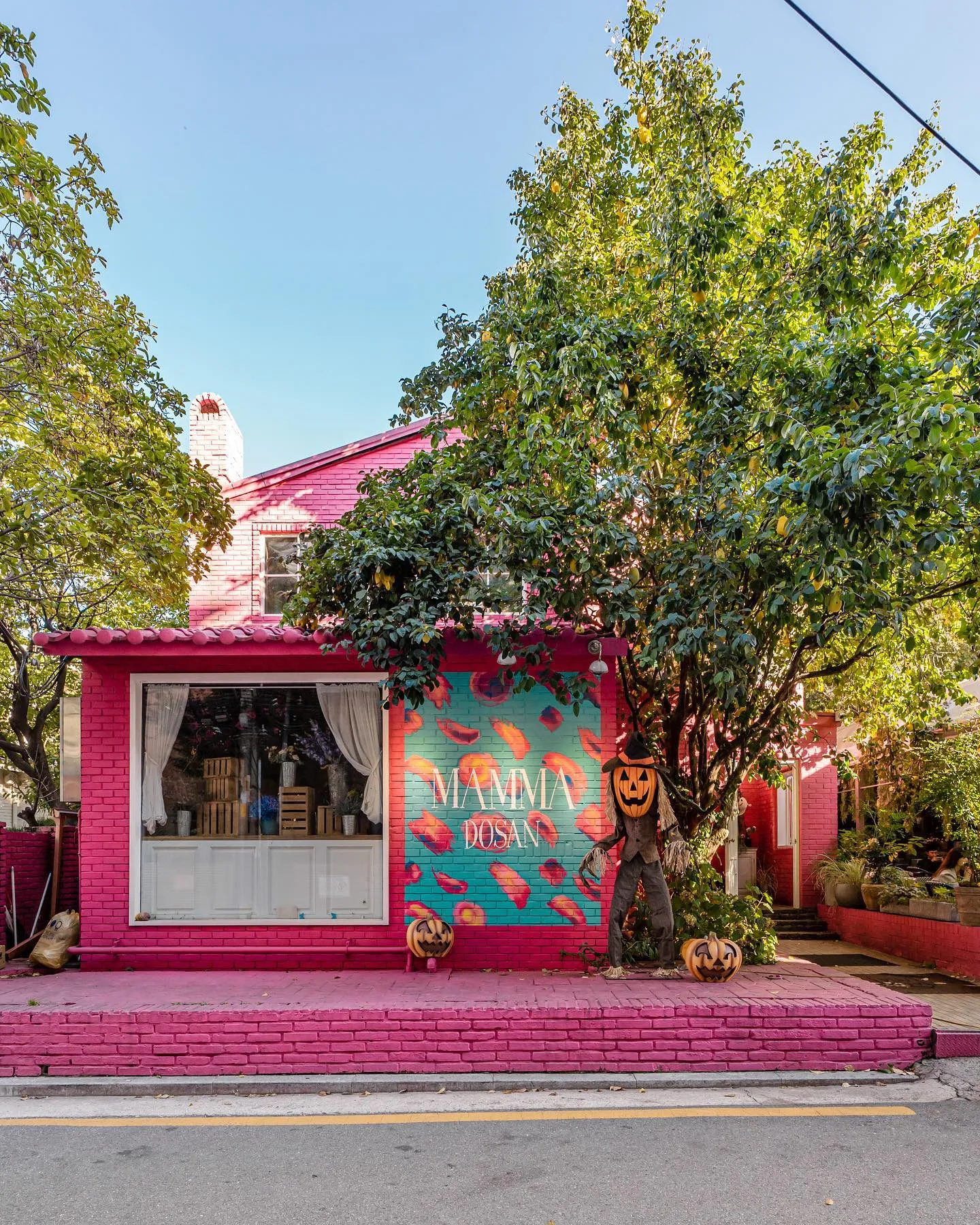 BLACKPINK Fan Tour Seoul Trip TOP 7